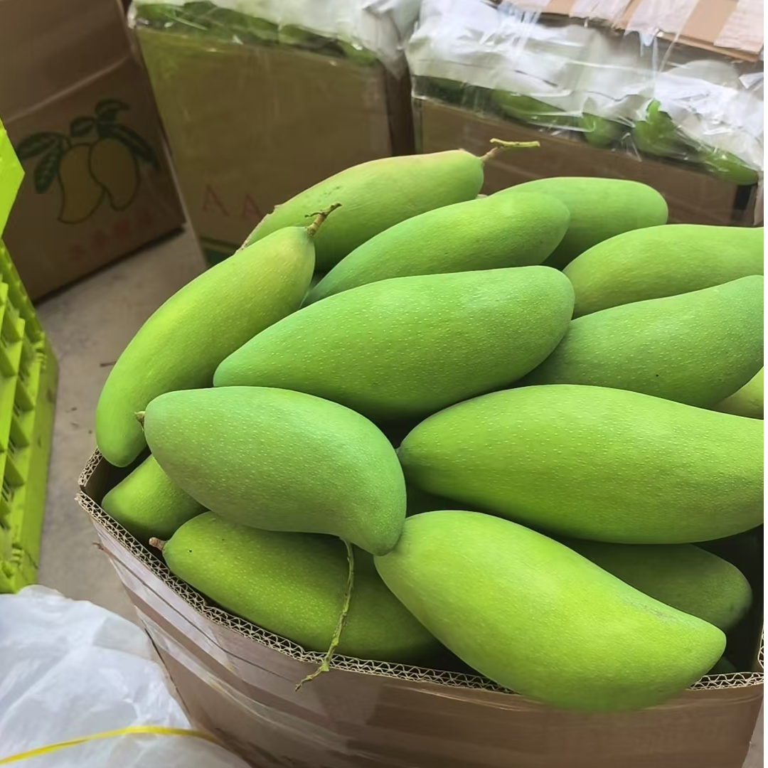 云南酸脆芒果象牙芒（送糊辣椒）