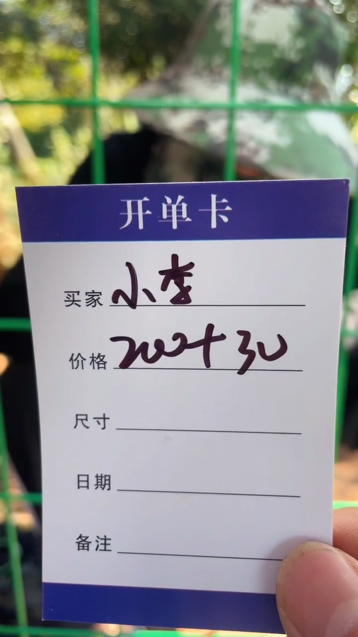 非金属无小*手镯下单链接秒拍秒付