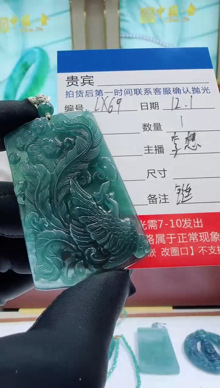 未镶嵌定制翡翠LX69翡翠吊坠赠珠链-多样性发其一