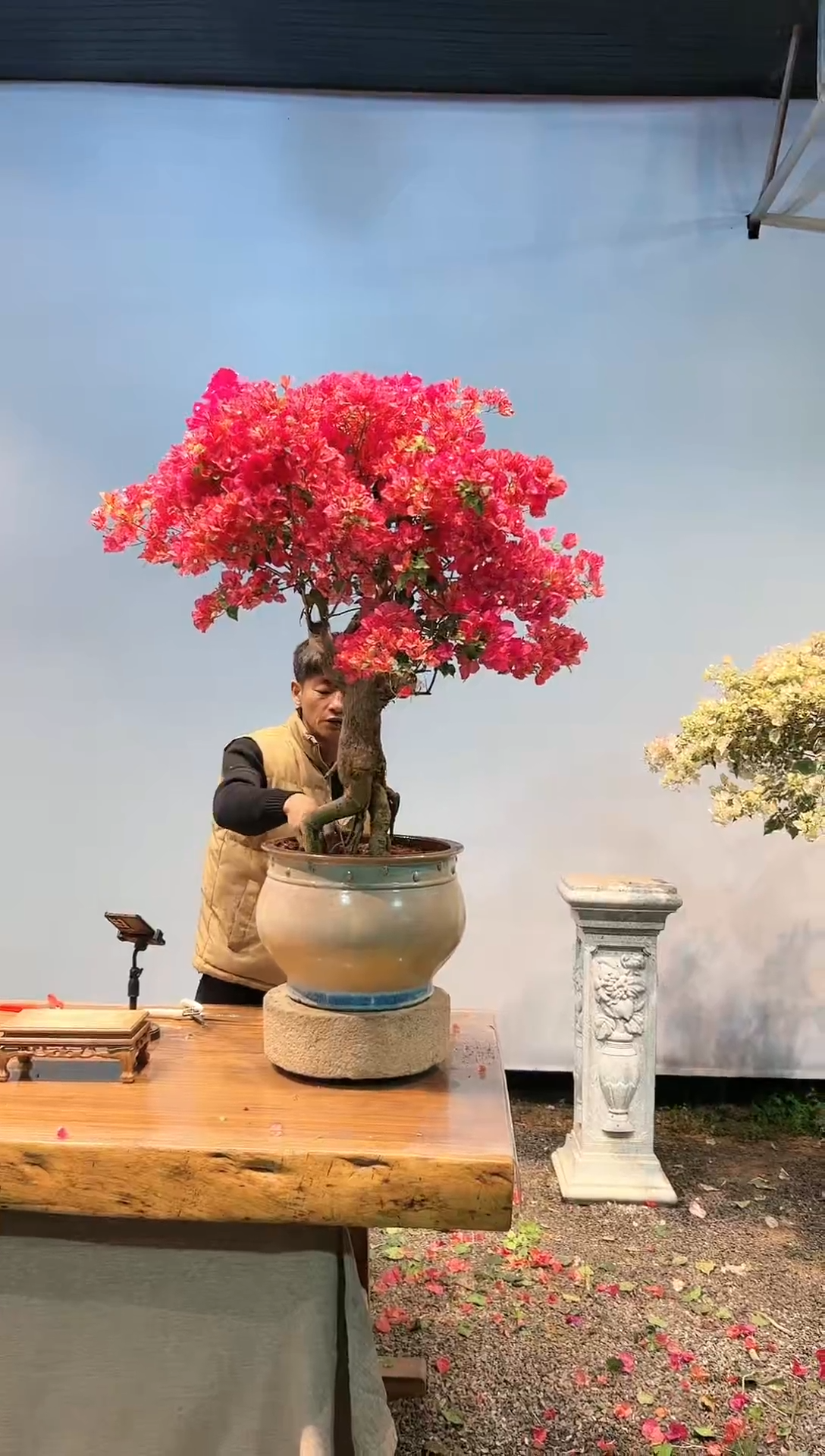 【闪购商品】aa912