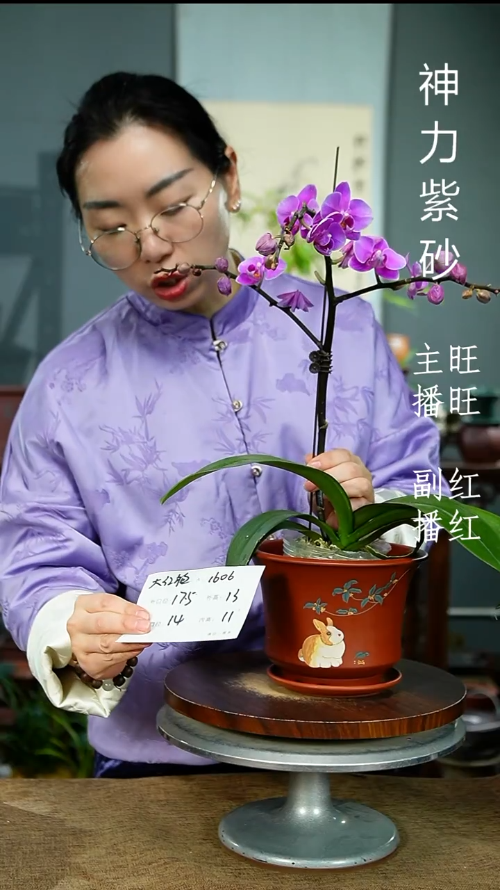 紫砂花盆1606+Z&…… 紫砂花盆紫砂
