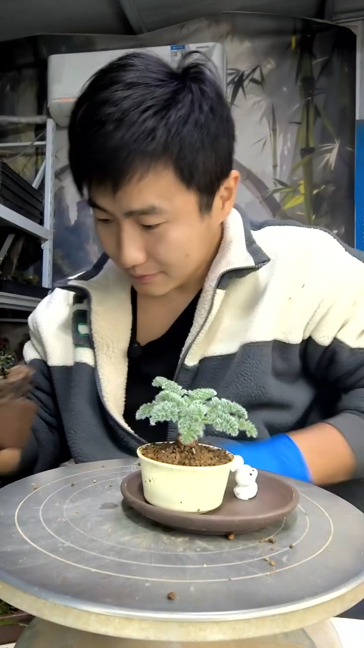 蛋***喜中青园艺一物一拍花422