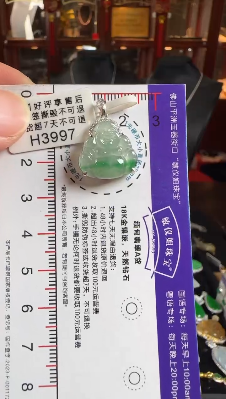 颈饰18K金镶嵌翡翠H3997飘绿佛公