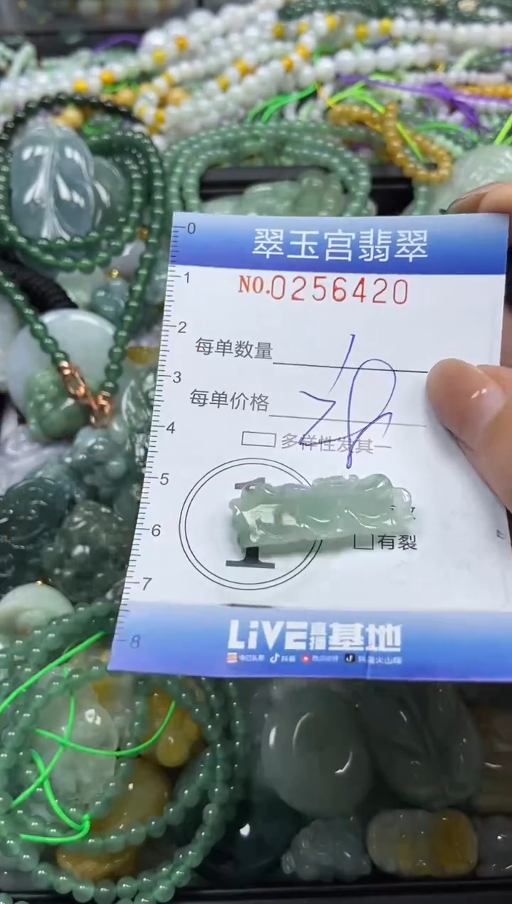 颈饰未镶嵌翡翠闪购C0256420