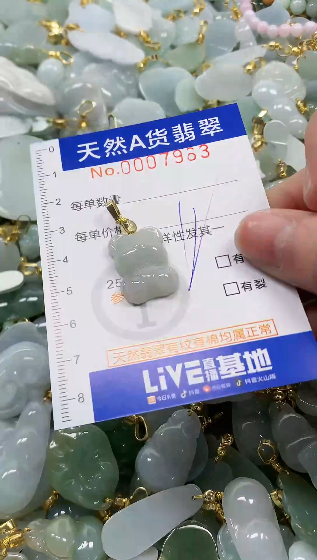 颈饰未镶嵌翡翠纯天然a货翡翠