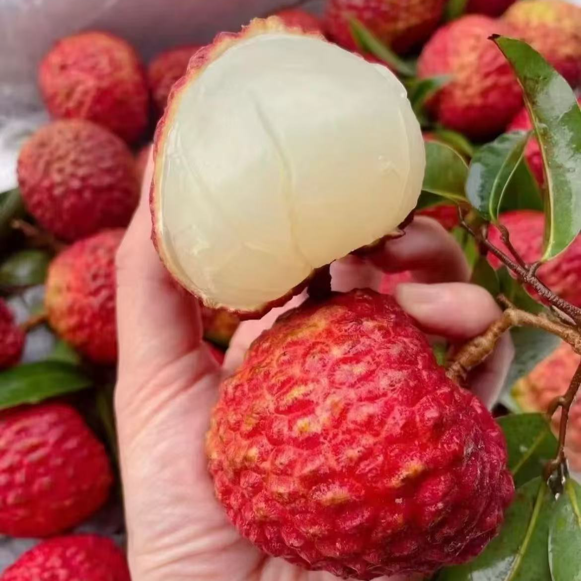 【来此购专属】一口爆汁荔枝王15.9元一斤，现称现改荔枝同城送