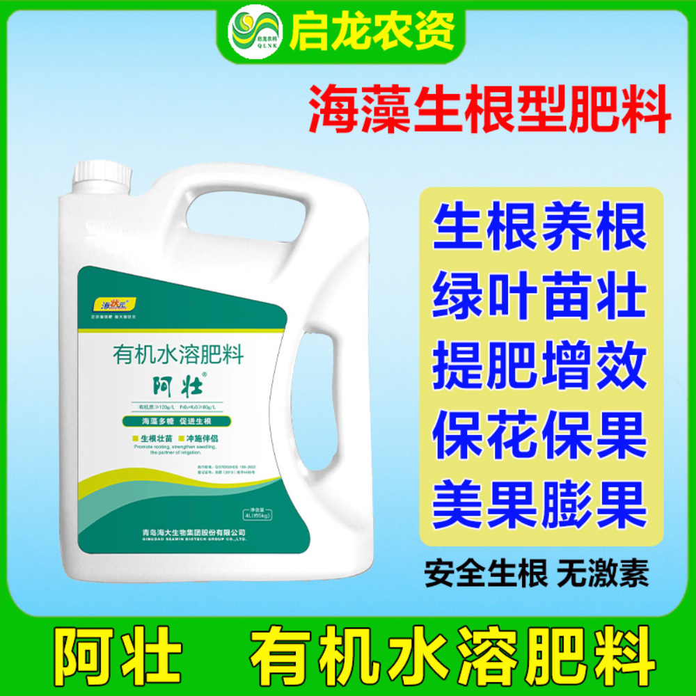 启龙阿壮海藻生根剂无激素生根壮苗不旺长抗旱抗低温吸收草莓