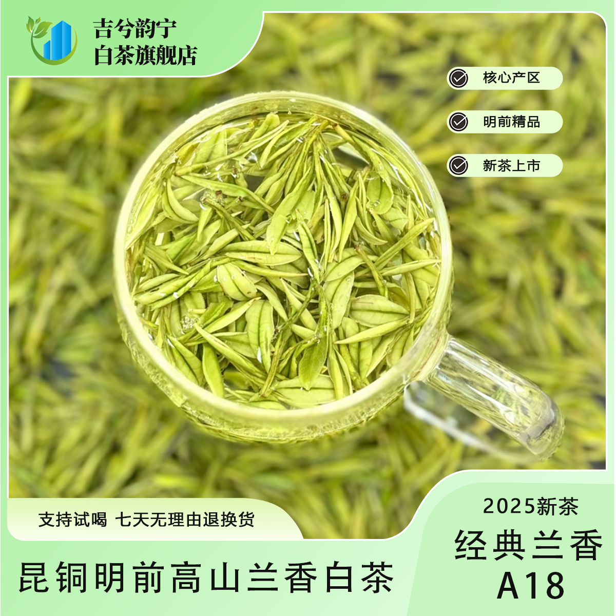 1号【迎春兰香A18】2025新茶昆铜明前特级兰花香白茶原产地安吉