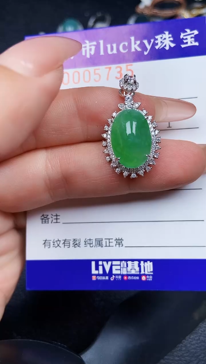 翡翠银S925镶嵌颈饰5735