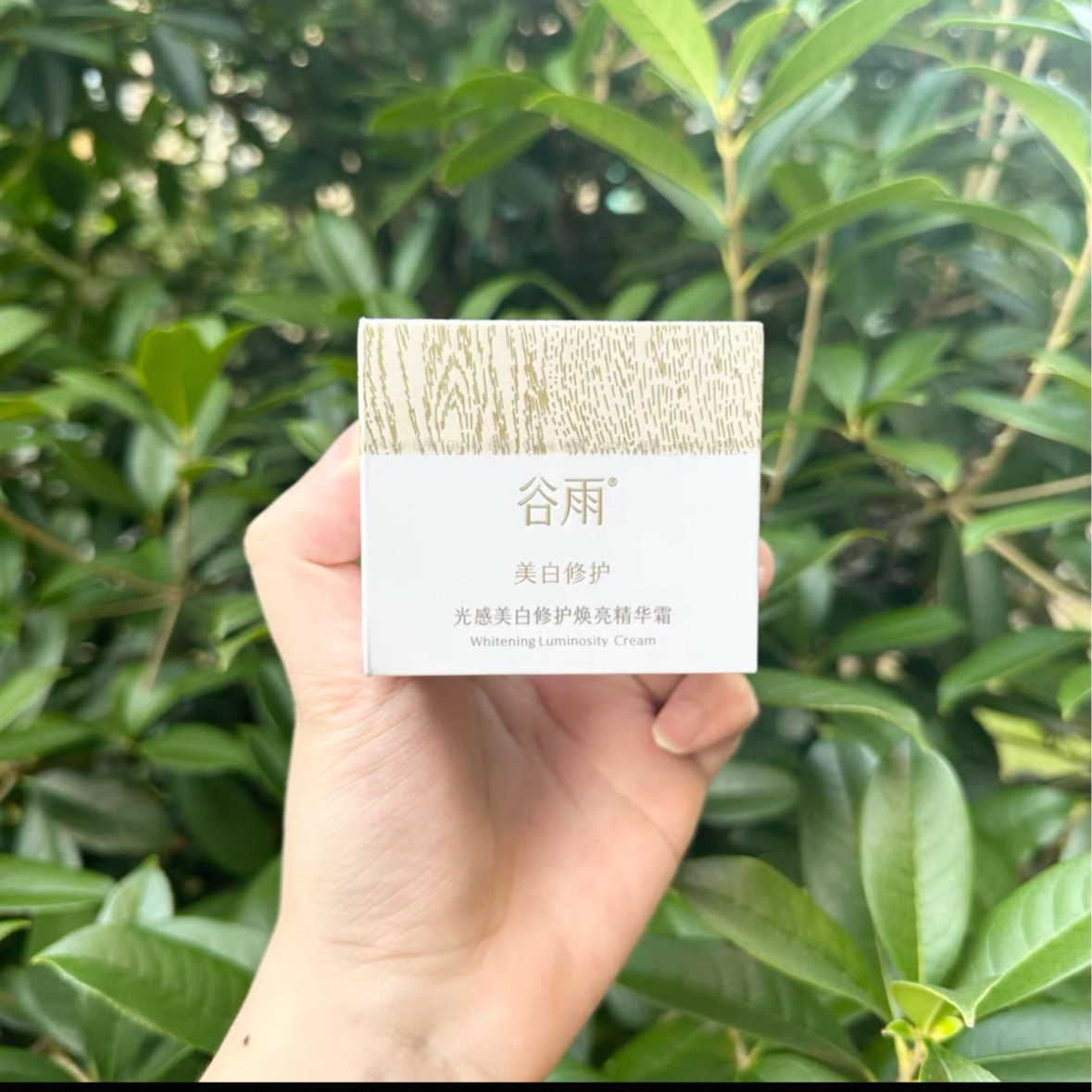 谷雨奶罐光感美白修护焕亮精华霜4.0新款（15g)