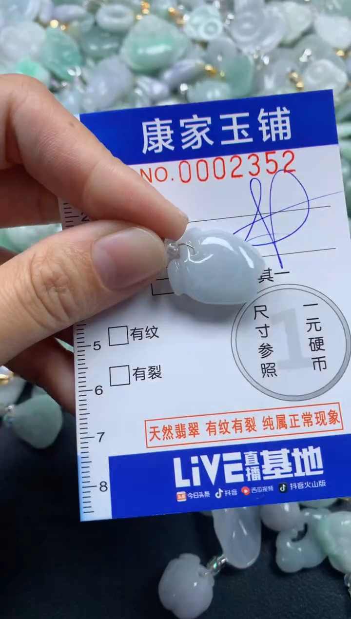 颈饰未镶嵌翡翠2352