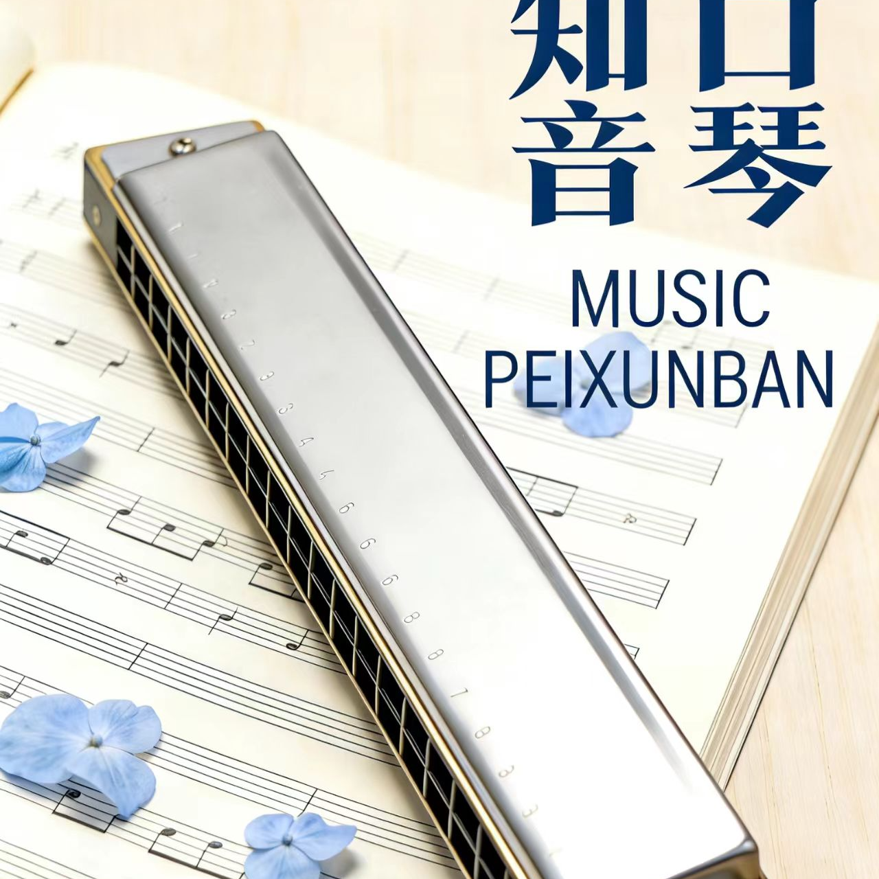 2026年【报名学琴】一对一辅导作业 复音口琴 布鲁斯口琴 终身有效