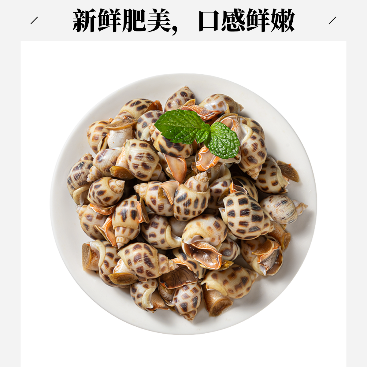 鲜活大花螺海鲜500g同城配送花螺同城送