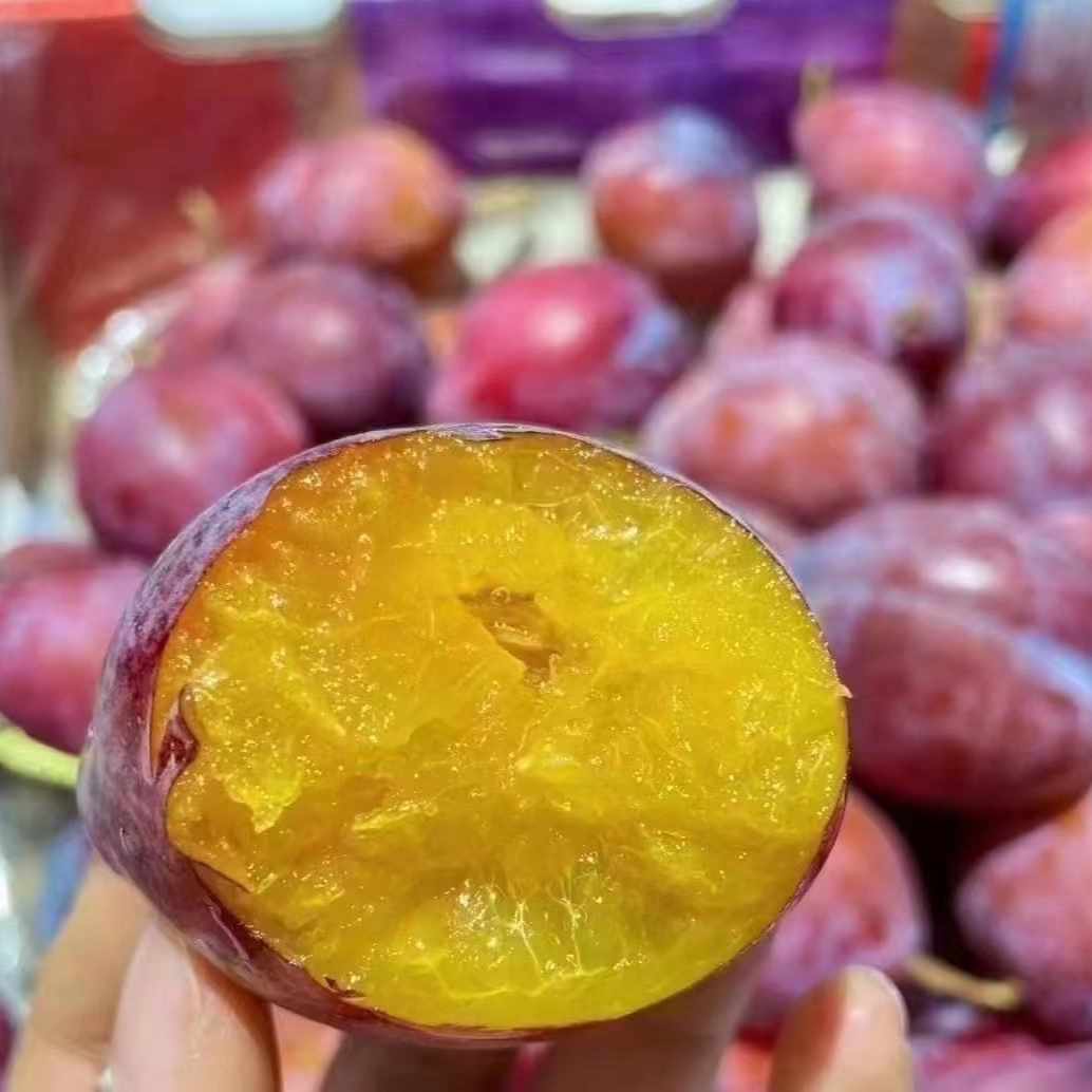 智利西梅一斤装