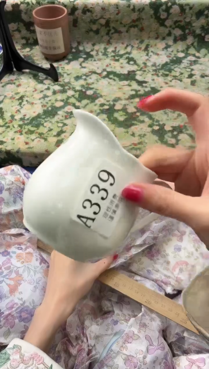 瓷片大***猫       A339