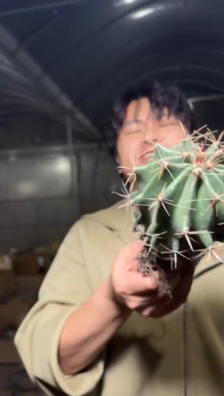 【实生根】  雎鸠玉