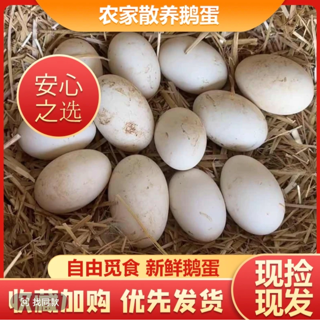 [买六枚送六枚]土鹅蛋农家散养雁鹅蛋新鲜现捡