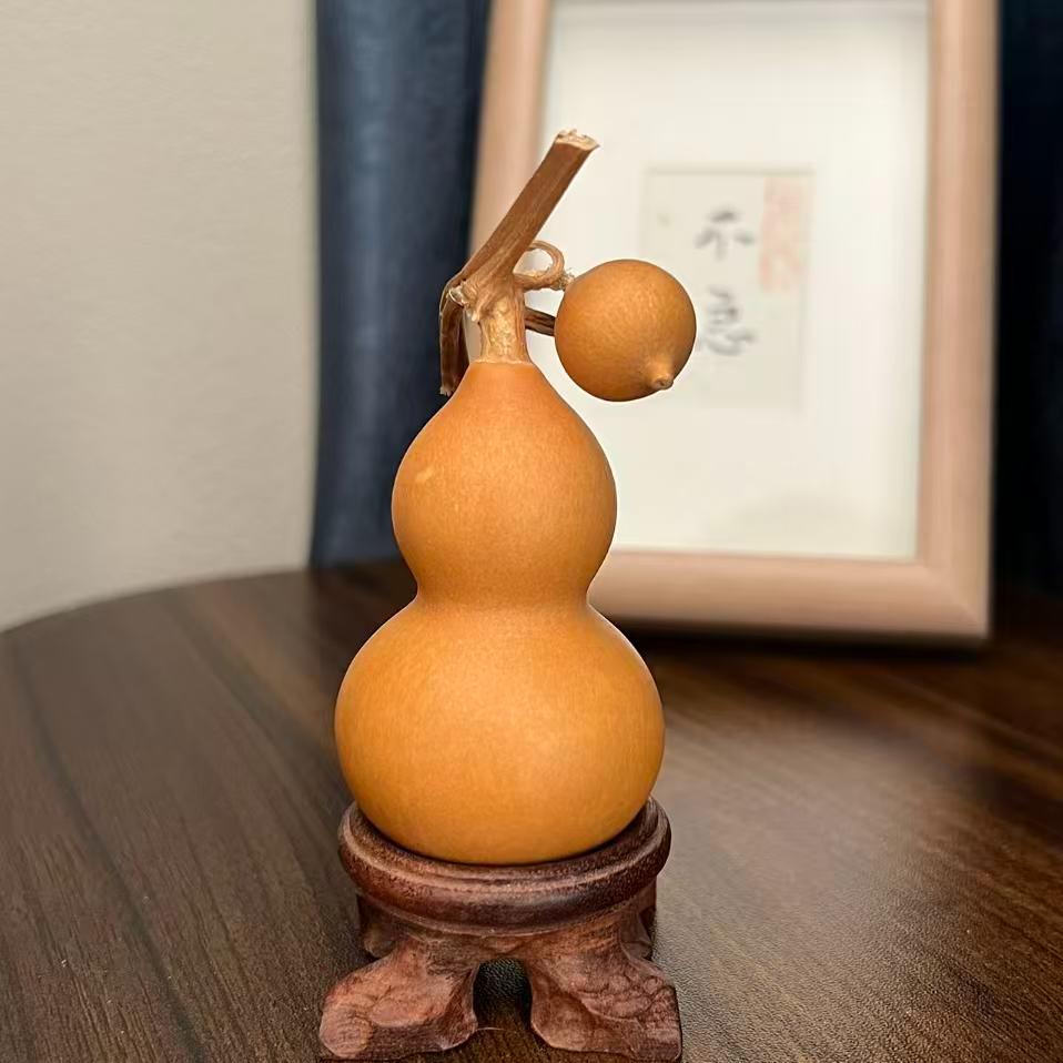 小美双枝异形收藏