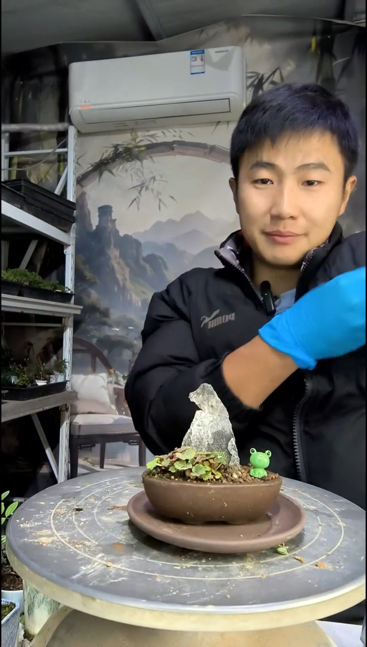 大**鹰中青园艺一物一拍29