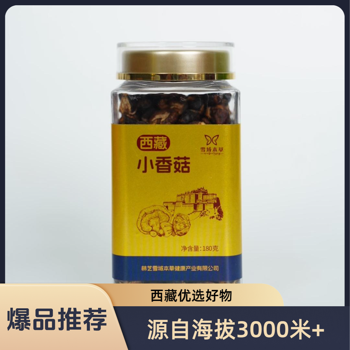 【西藏小香菇】西藏源头正宗高端滋补健康养生精选品质保障炖汤