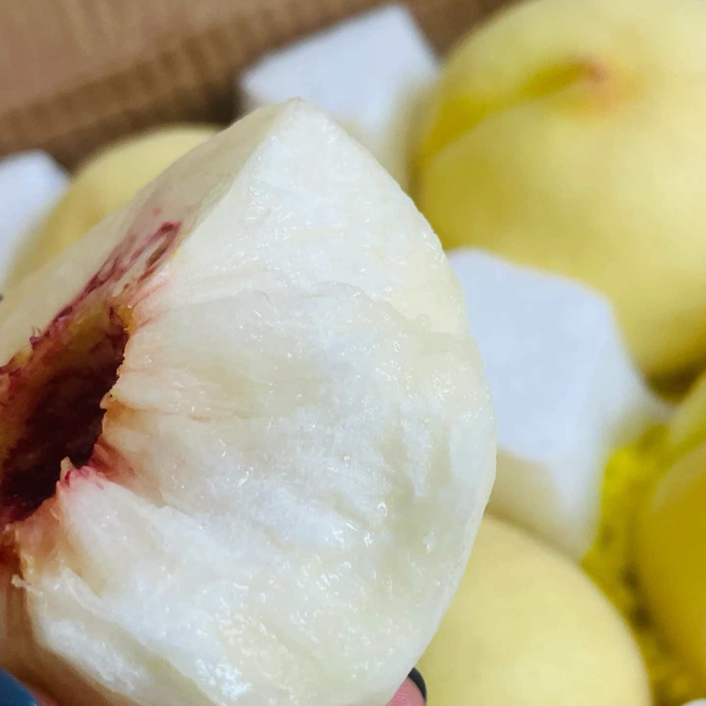 沂蒙山新鲜丑桃 爆甜多汁 放软齁甜（不裂口）