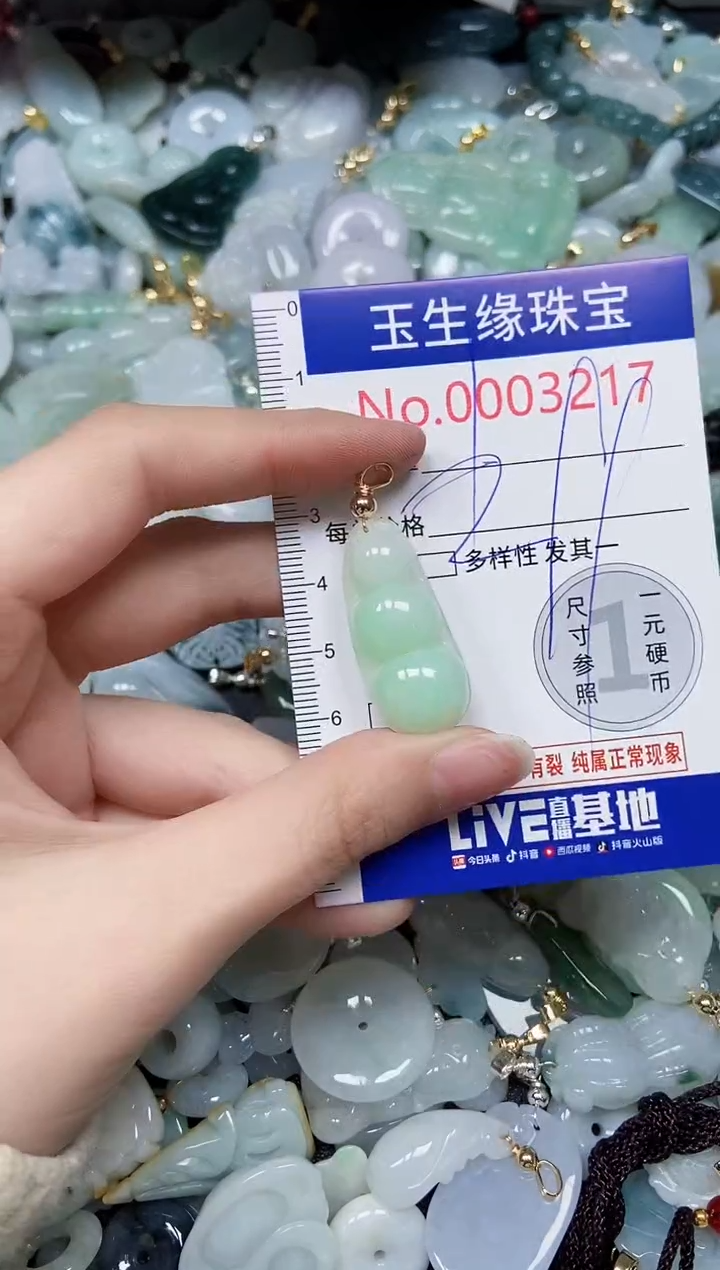 【闪购商品】翡翠颈饰未镶嵌闪购00003217