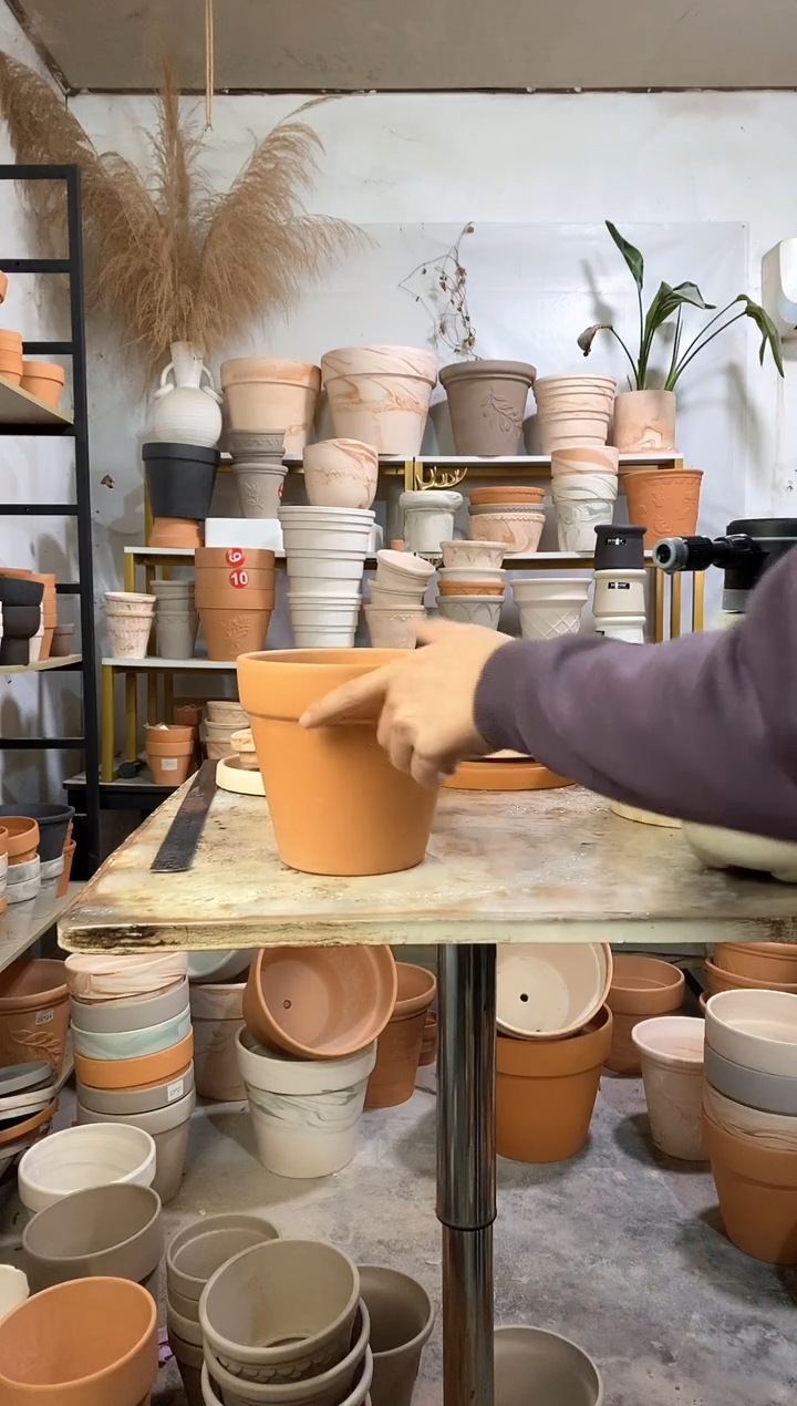 18*16红陶国际 1盆无托