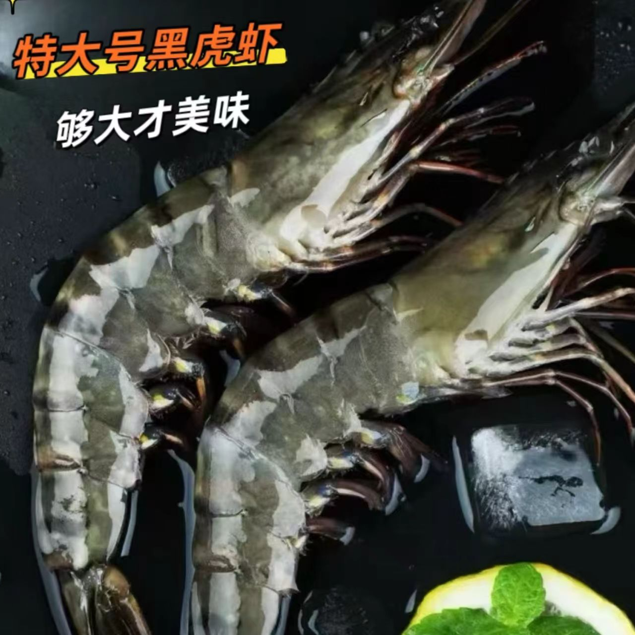 精品A级16-20规格 特大号黑虎虾 一斤称8-10只 顺丰冷链 