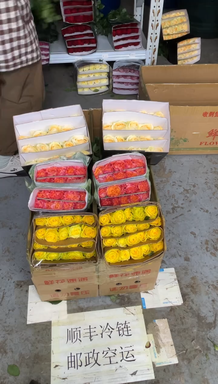 月光漫步20枝+火灵鸟20枝+香槟20枝