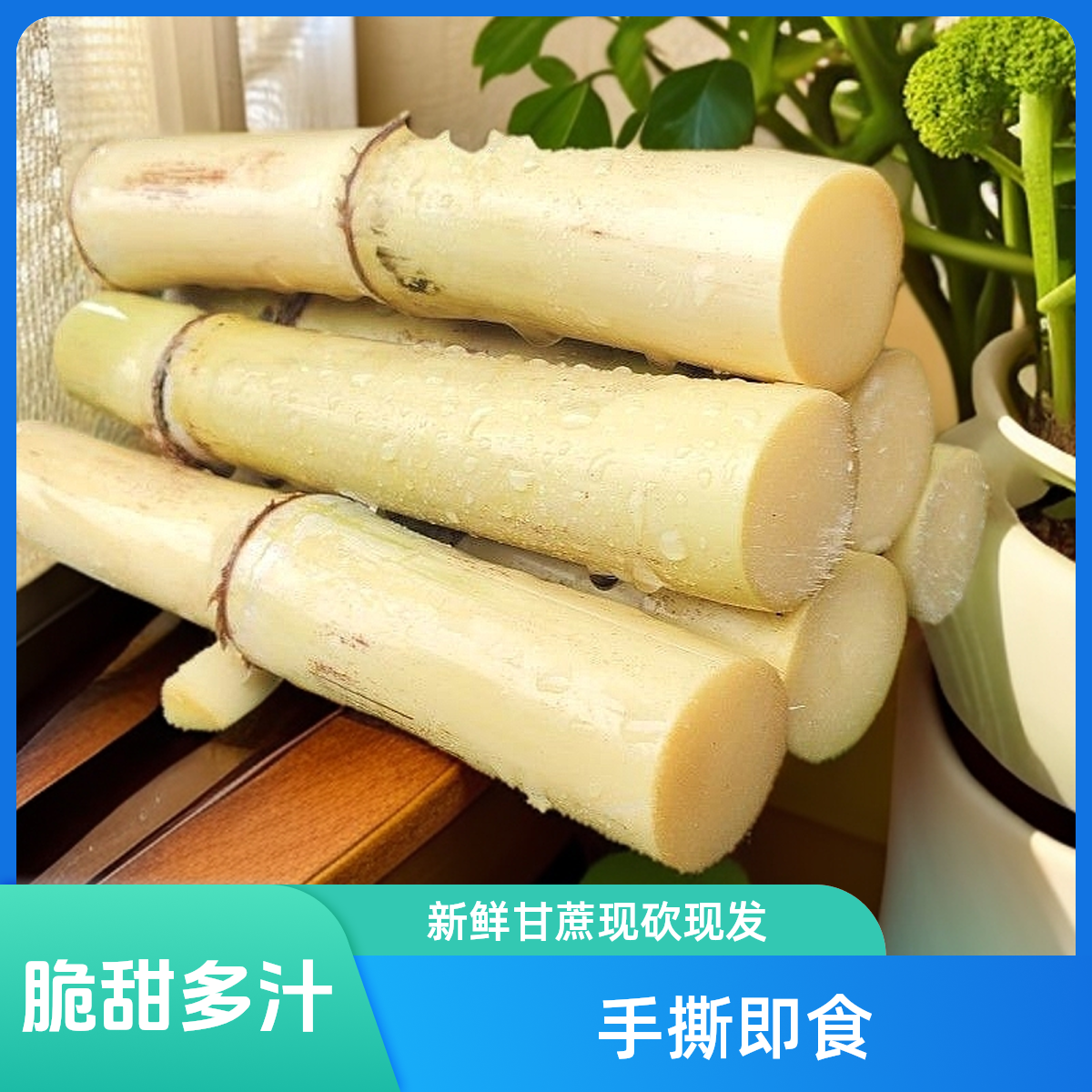 贵港木格白玉甘蔗当季新鲜玻璃脆现砍直发农家水果