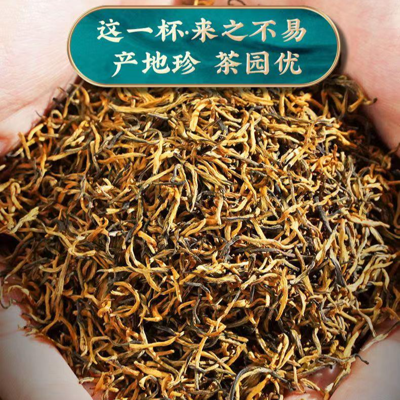 精选金骏眉红茶小高货蜜香明前新茶浓香耐泡型春茶茶叶花果香好茶