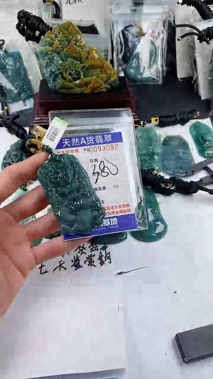 【闪购商品】翡翠颈饰未镶嵌        