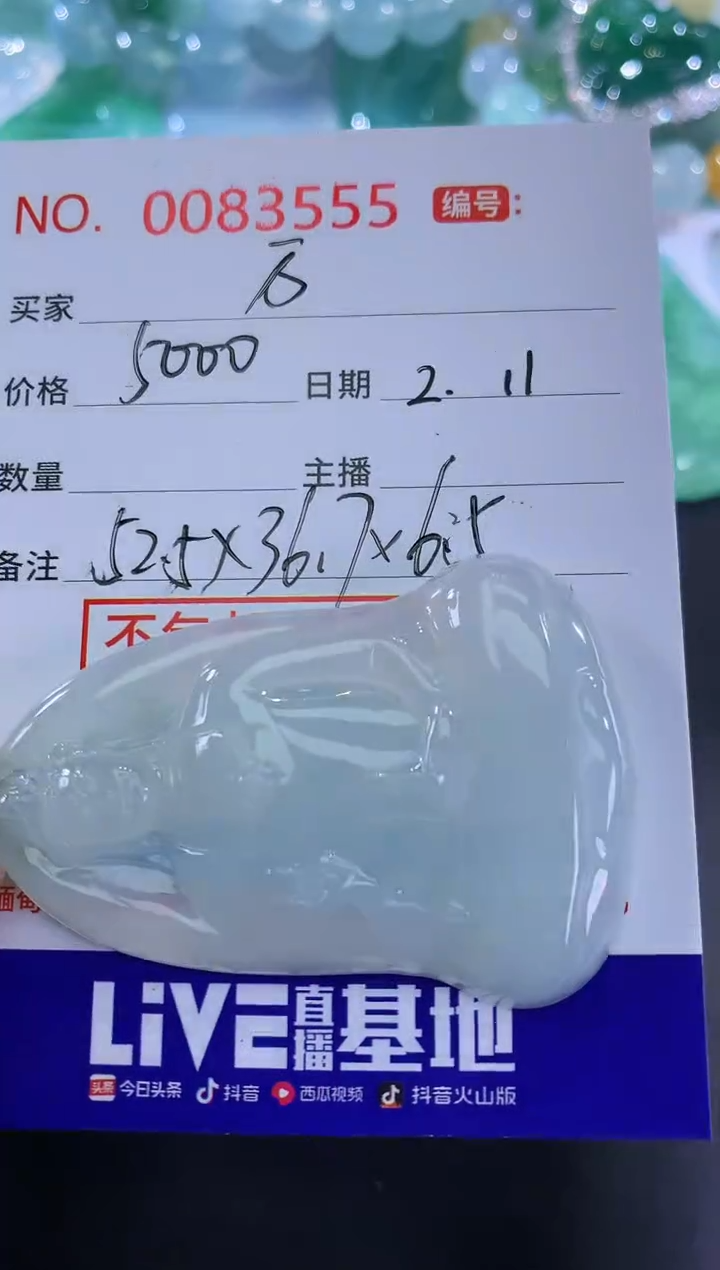 【闪购商品】翡翠颈饰未镶嵌万
