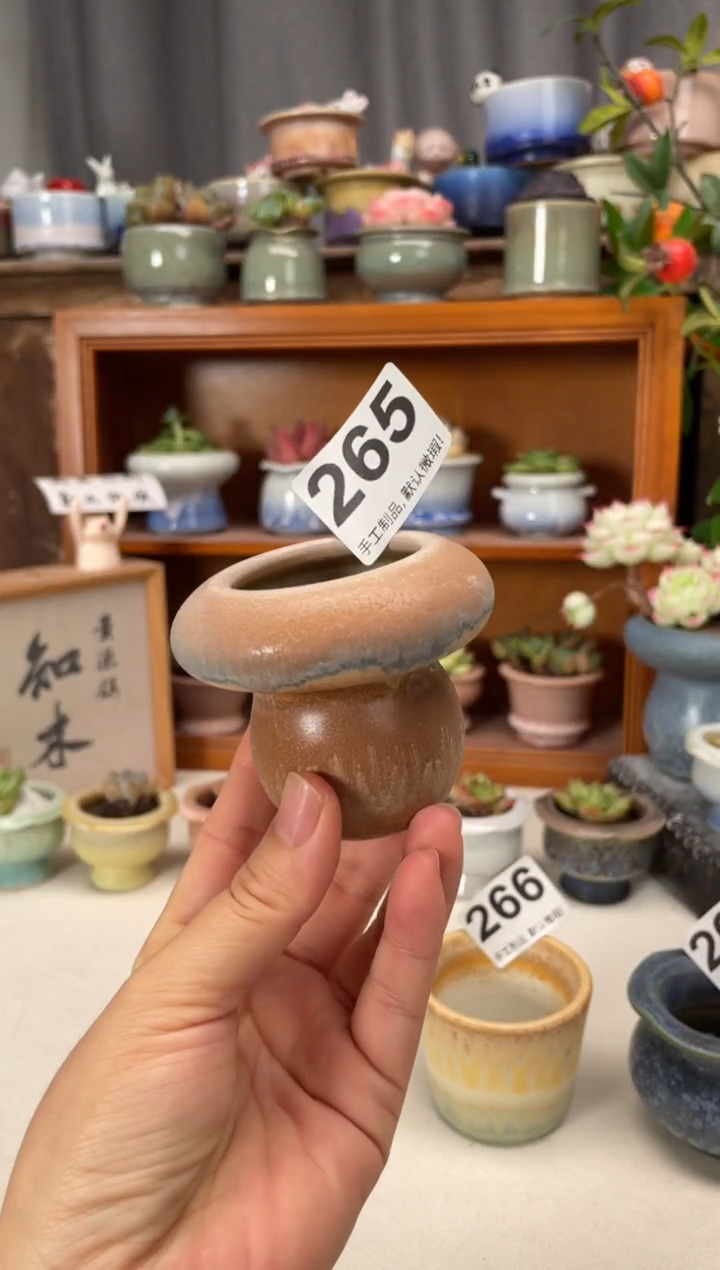 瓷片265微瑕知木小芳花盆