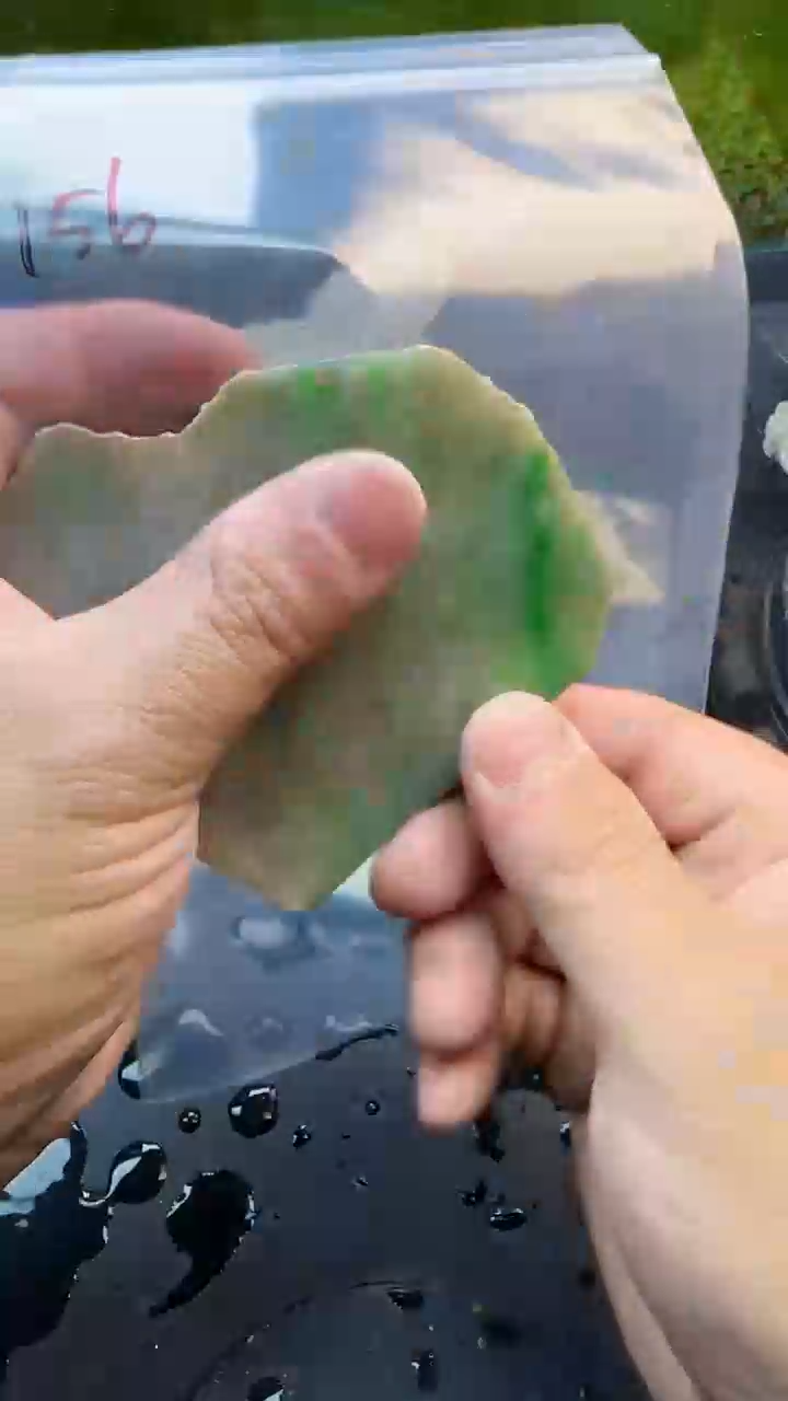【闪购商品】翡翠颈饰未镶嵌156天然翡翠