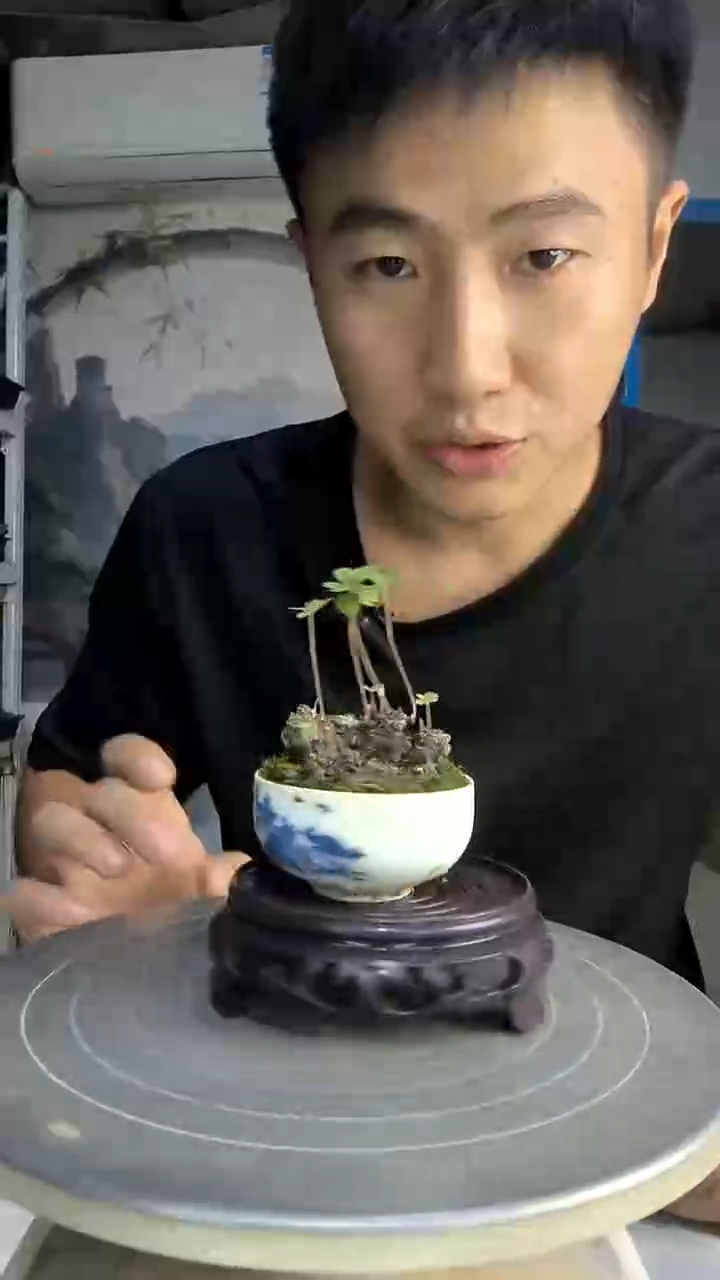?**物中青园艺一物一拍134