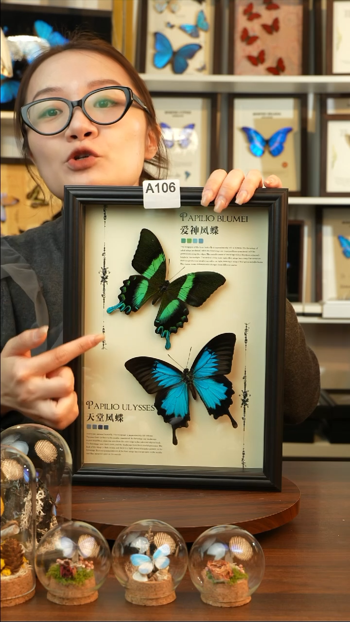 爱神凤蝶天堂凤蝶组合款(A4欧式黑框)A106