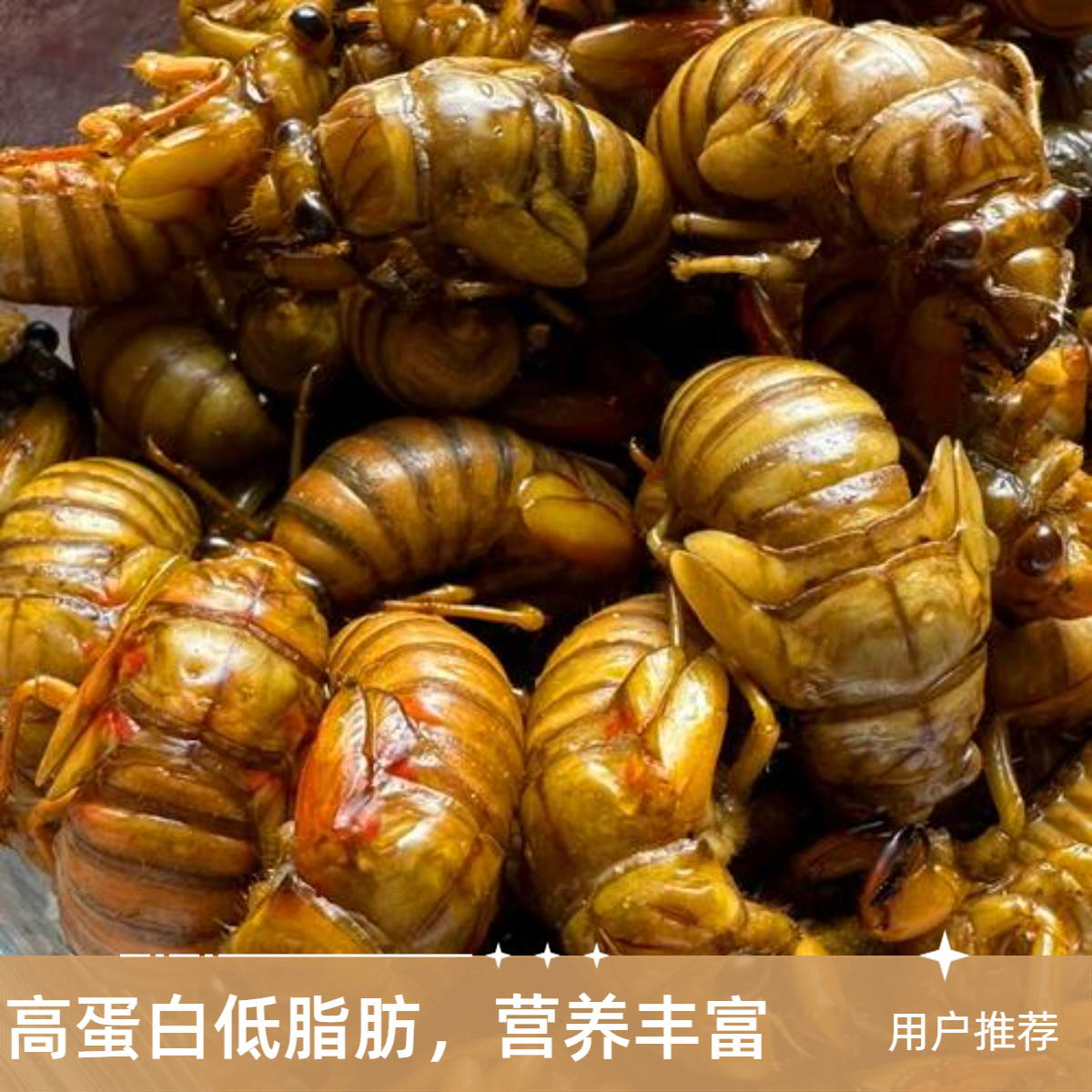 【次日达小刘店】新鲜金禅  爬叉  知了1猴  顺丰包邮