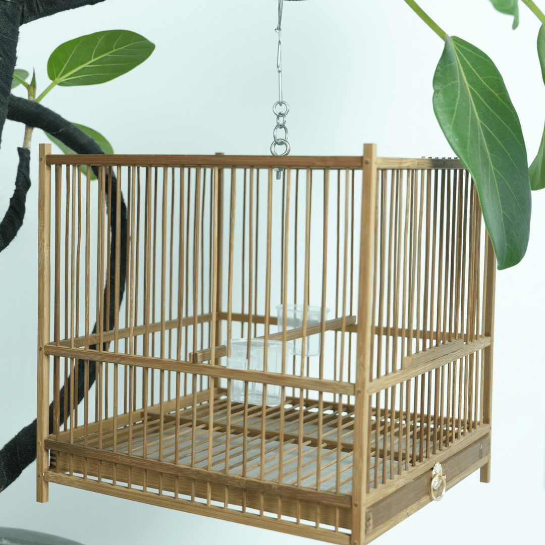  巴掌笼   扎线    方笼 八哥画眉鹦鹉绣眼鸟笼子竹编观赏瑕疵款