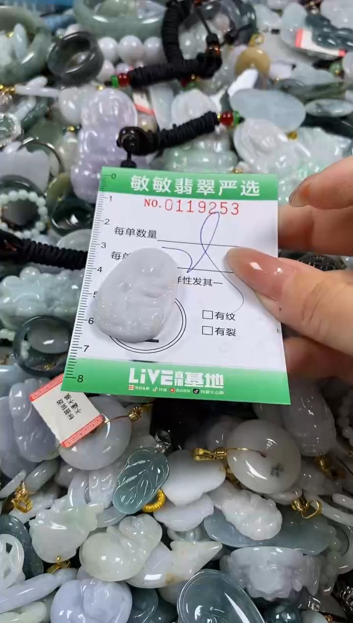 【闪购商品】翡翠颈饰未镶嵌闪购0119253