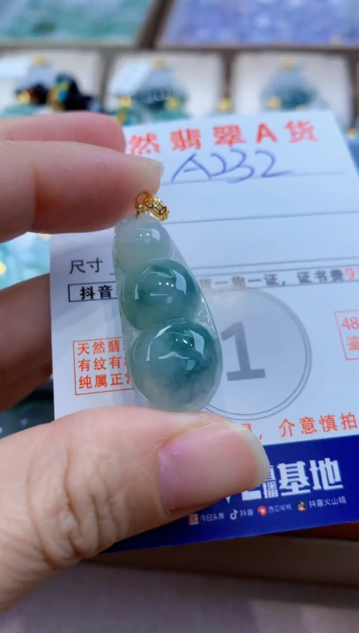 颈饰未镶嵌翡翠天然A货翡翠挂件