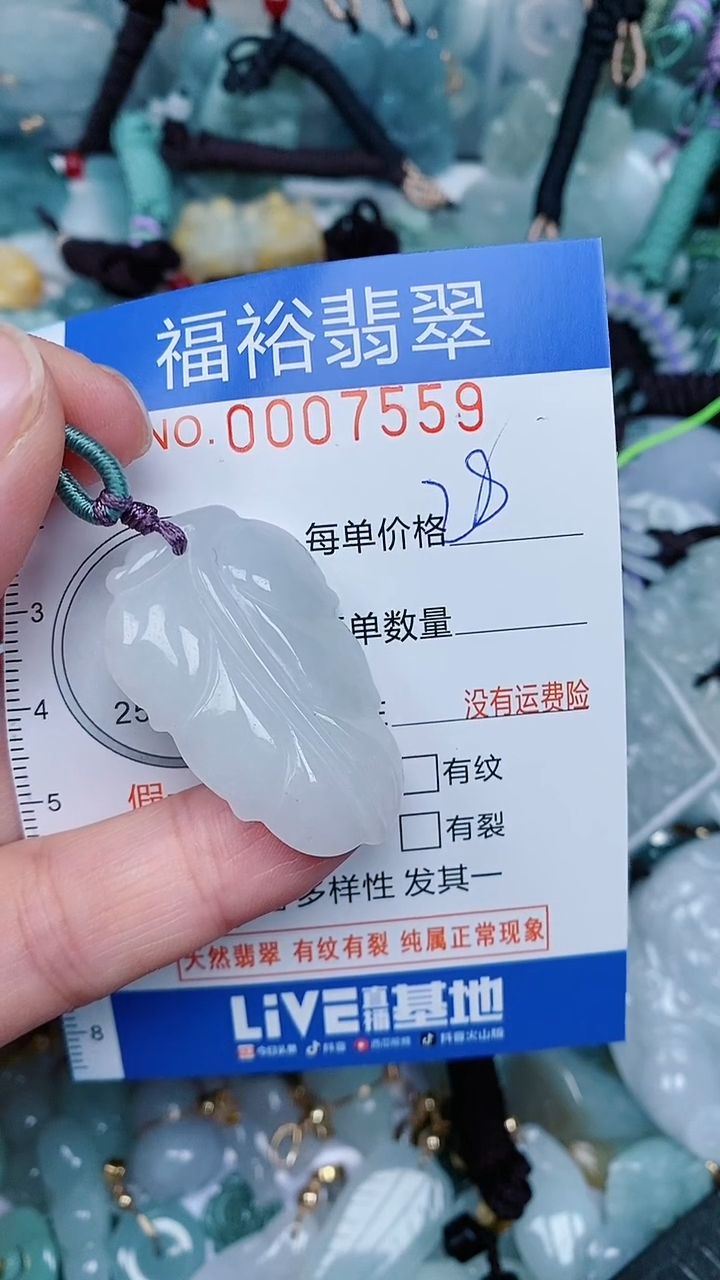 【闪购商品】翡翠颈饰未镶嵌...0007559