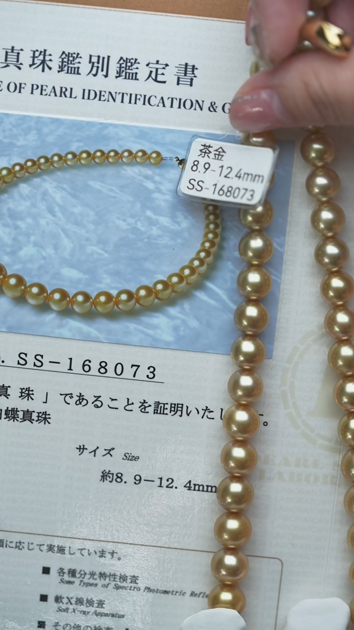 颈饰海水珍珠未镶嵌芥*金珠8.9-12.4mm珠串+真科研大证