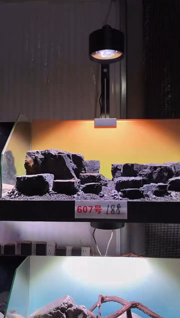 607号鱼缸造景（不含底砂）