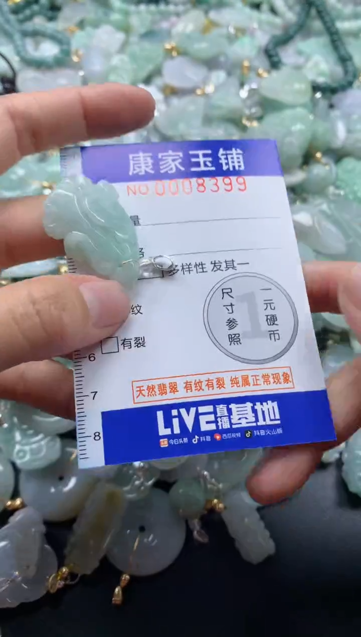 颈饰未镶嵌翡翠8399