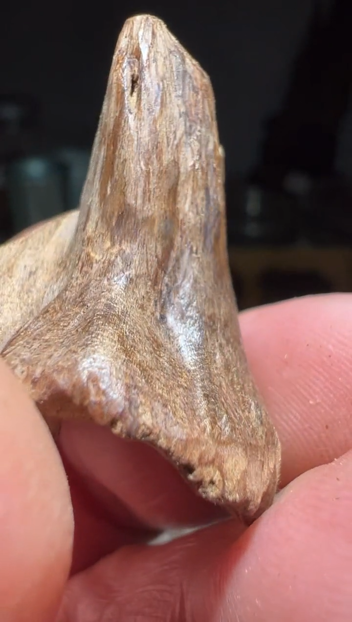 【闪购商品】沉香沉香碎屑加里曼丹2克