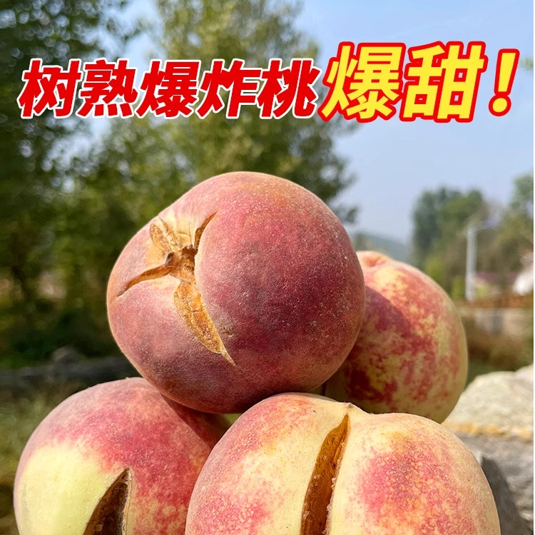 山东爆炸桃红叶冬桃轻微裂口糖炸果现摘现发包邮桃子山东省