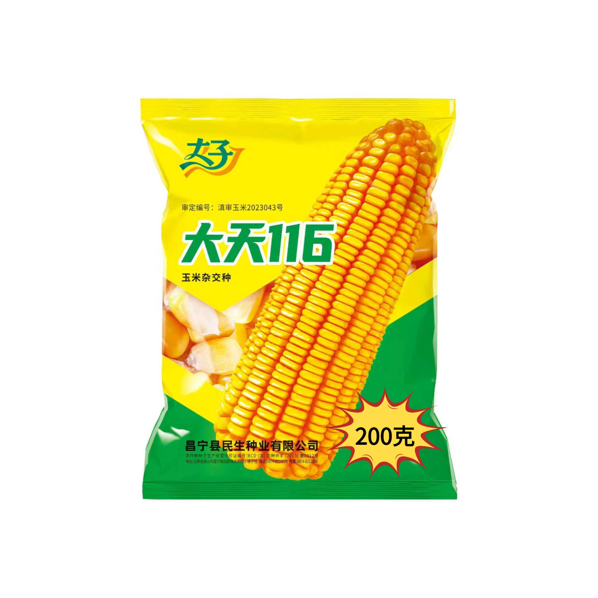 大天116玉米种子