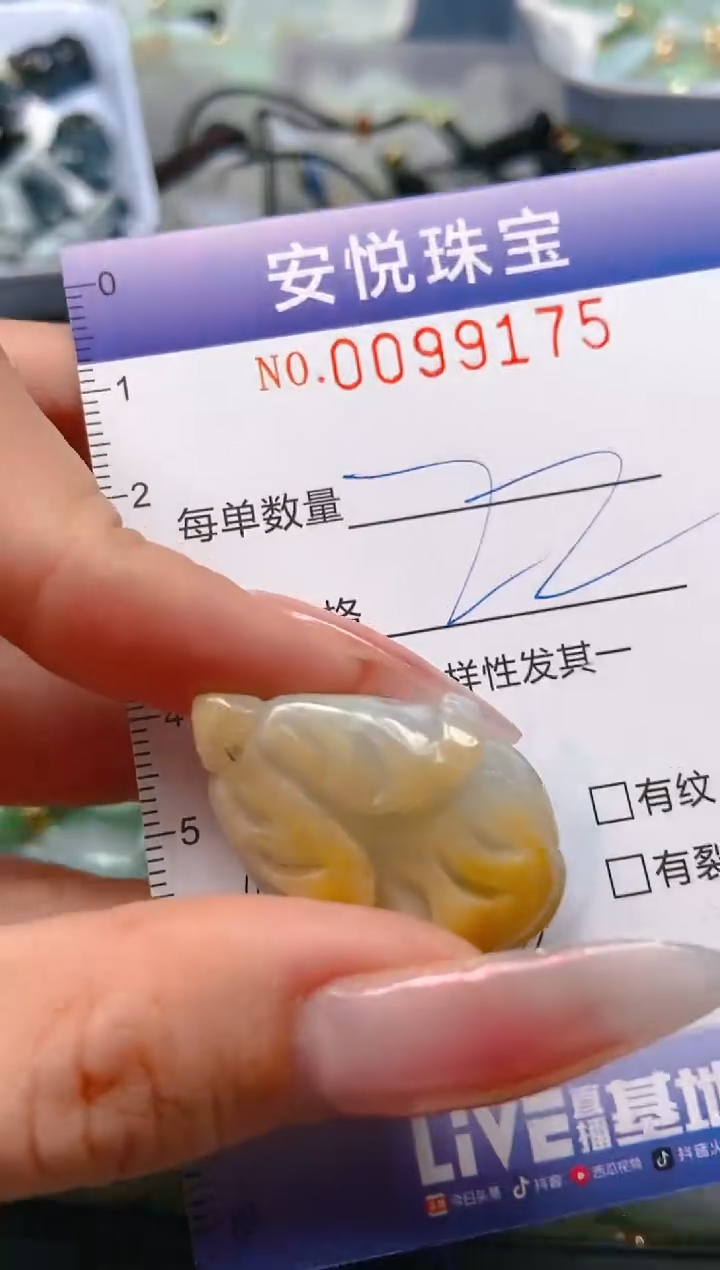 【闪购商品】翡翠颈饰未镶嵌闪购0099175