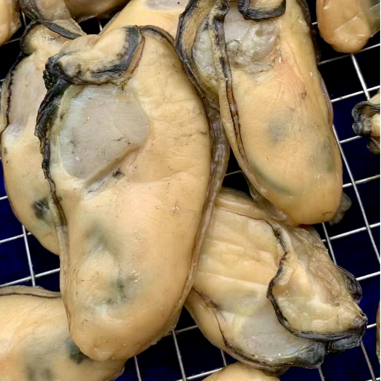 【精选好货】生晒台山金蚝  天然无抽油 六成干 冷链包邮